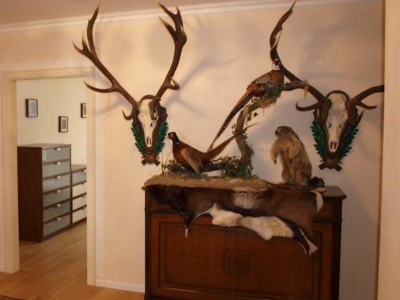 De L'Europe Gastein Hotel บาดกัสไตน์ ภายนอก รูปภาพ